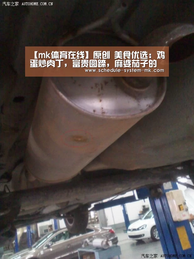 mk体育官网