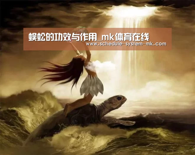 mk体育官网